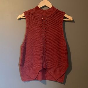 Express sweater vest
